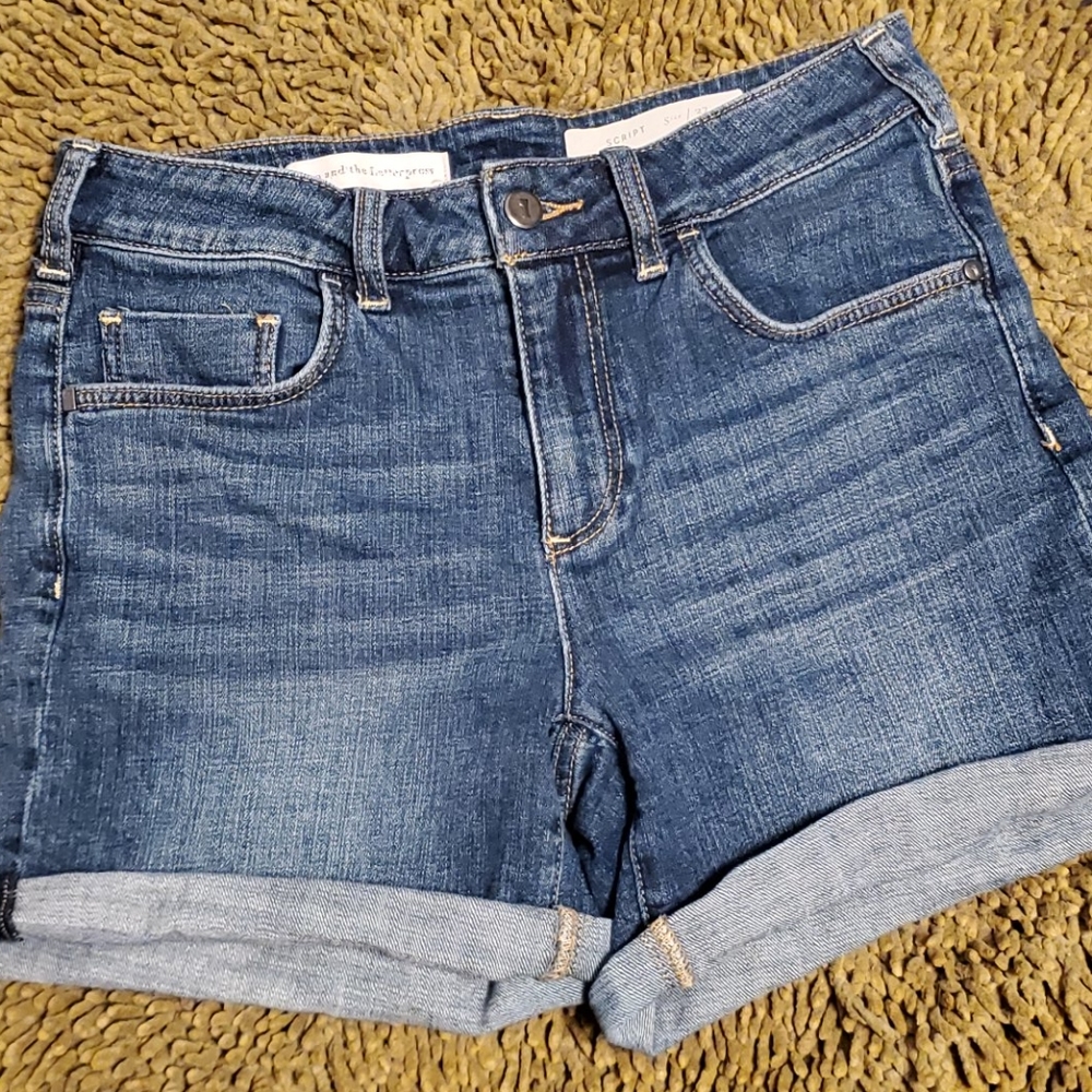 Pilcro and the Letterpress dark denim Shorts